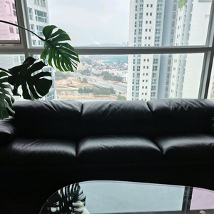 까시나 마라룽가 3인 x등급 이미지