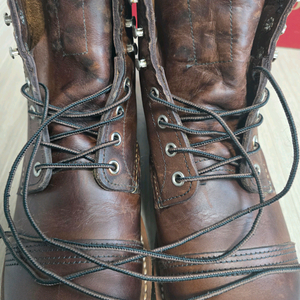 레드윙 아이언레인저 8111 <270D>