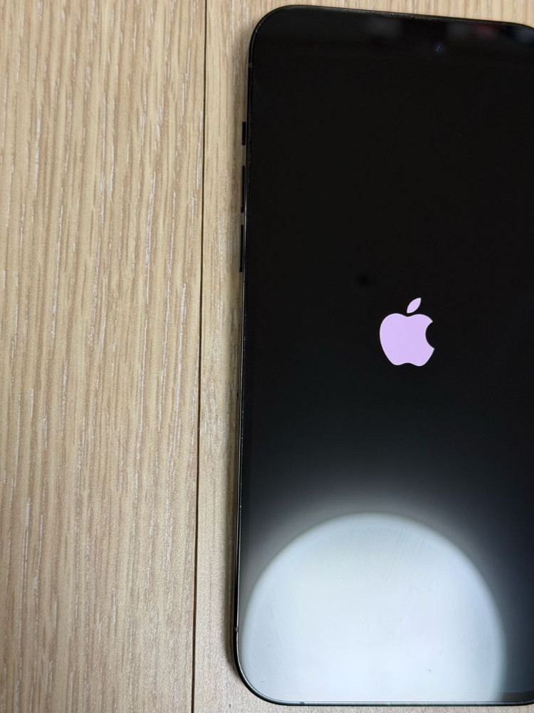 애플 아이폰 14 프로 맥스 Pro Max 256기가 블랙--12