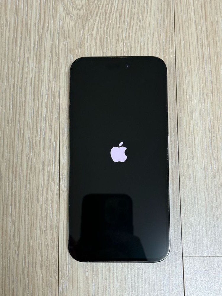 애플 아이폰 14 프로 맥스 Pro Max 256기가 블랙--2