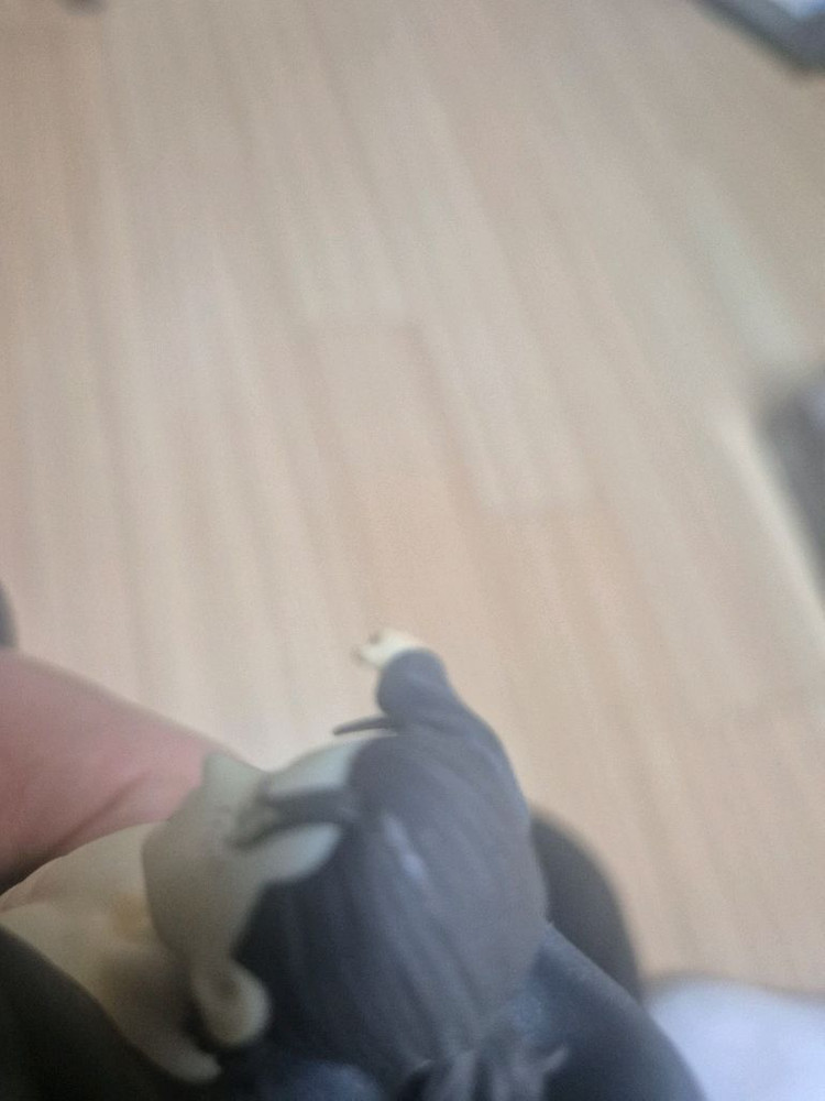 진격의 거인 에렌 예거 팝업퍼레이드 피규어 팝니다 이미지