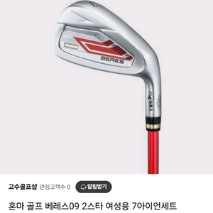 최신 혼마 베레스 2스타 여성용 아이언 세트 골프채 이미지