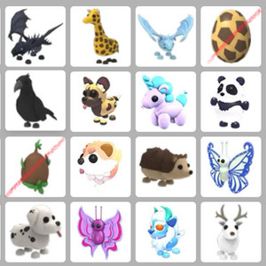 입양하세요 사진에 있는 급처 펫들 삽니다 이미지