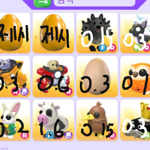 입양하세요 펫 최저가 팝니다 이미지