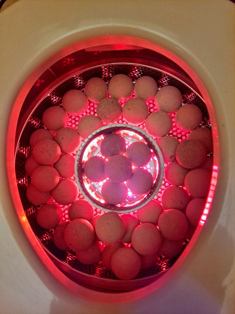 동보전자 애플 황토볼 원적외선 한방 좌훈기 팝니다--3