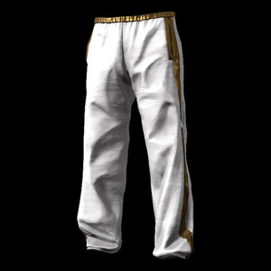 배그 스킨 고풍스러운 바지 스킨 팝니다