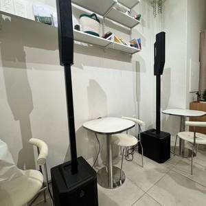 ev evolve 30M 컬럼어레이 스피커 ev액티브스피커 이미지