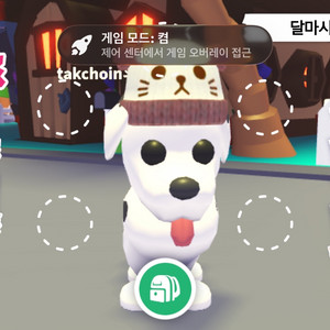 입양하세요 산강 이미지