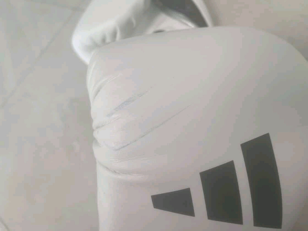 아디다스 복싱글러브 14온스,아디다스 복싱 헤드기어M 팝니다 이미지