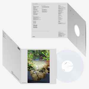 혁오 사랑으로 LP