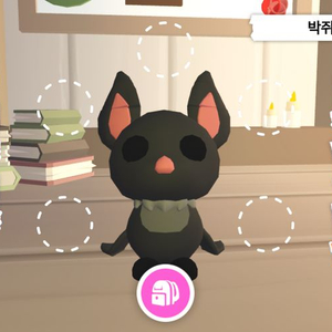 입양하세요 박쥐 이미지