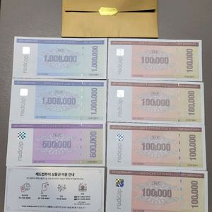 레드캡 여행 상품권 290만원 이미지