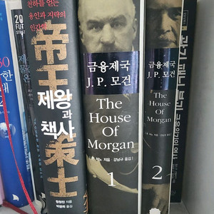 (금융제국 J.P. 모건) 2권,제왕과책사