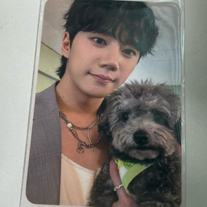 이준영 케타포 럭드 레오포카 이미지