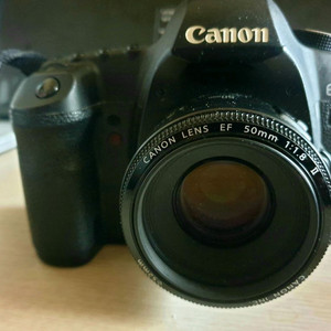 캐논 EOS 5D Mark II +50mm F1.8 이미지