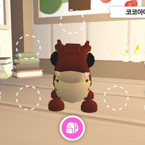 입양하세요 코코아 다일 이미지