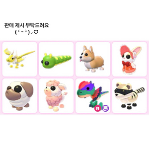 입양하세요 펫 판매!애벌래 가지고 계시는 분 잘 못봤어요!! 이미지