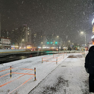 (선드림) 구글 사요 75퍼/ 이용료 정보 콘텐츠 컨텐츠 이미지
