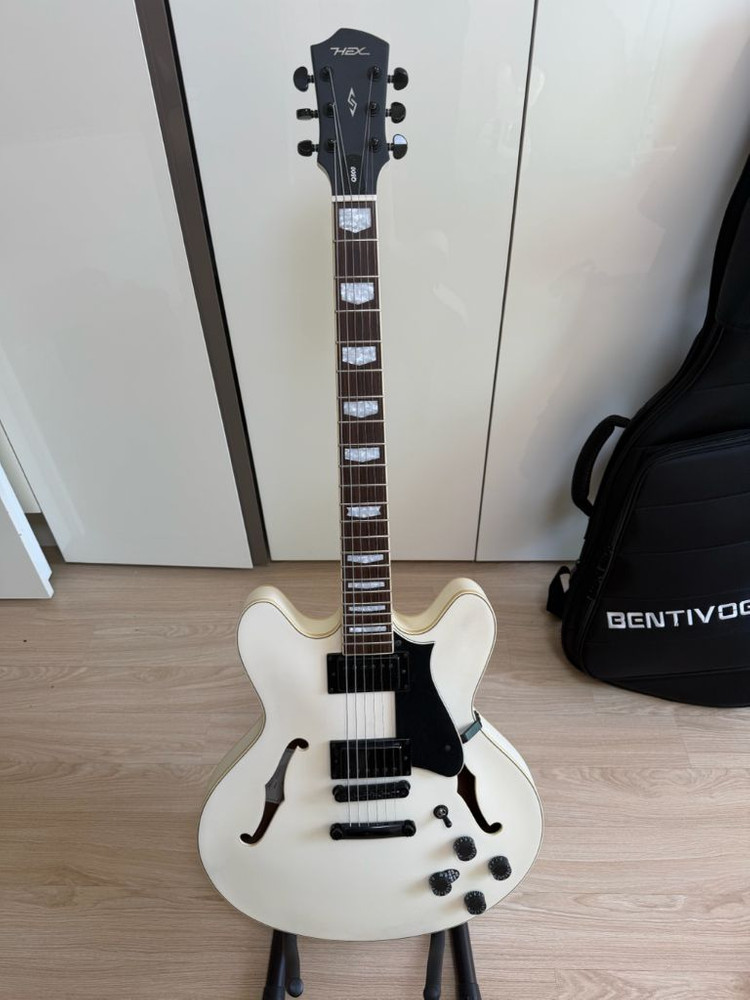 세미할로우바디 일렉기타 Q800 이미지