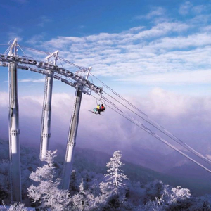 한정특가 모나용평 스키장 리프트권. 렌탈 패키지권 즉시 바코드 전송