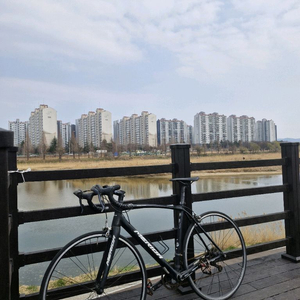 거래완료메리다 스컬트라100 로드 자전거팝니다