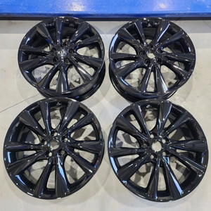 더뉴카니발 19인치 휠, 카니발 19인치 휠 이미지