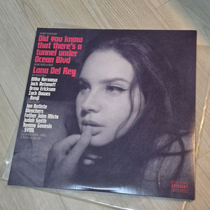 라나델레이 Lana Del Rey - Tunnel Under Ocean Blvd 다크 핑크 LP