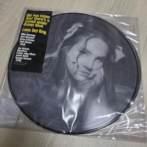 라나델레이 Lana Del Rey - Tunnel Under Ocean Blvd 픽처디스크 LP