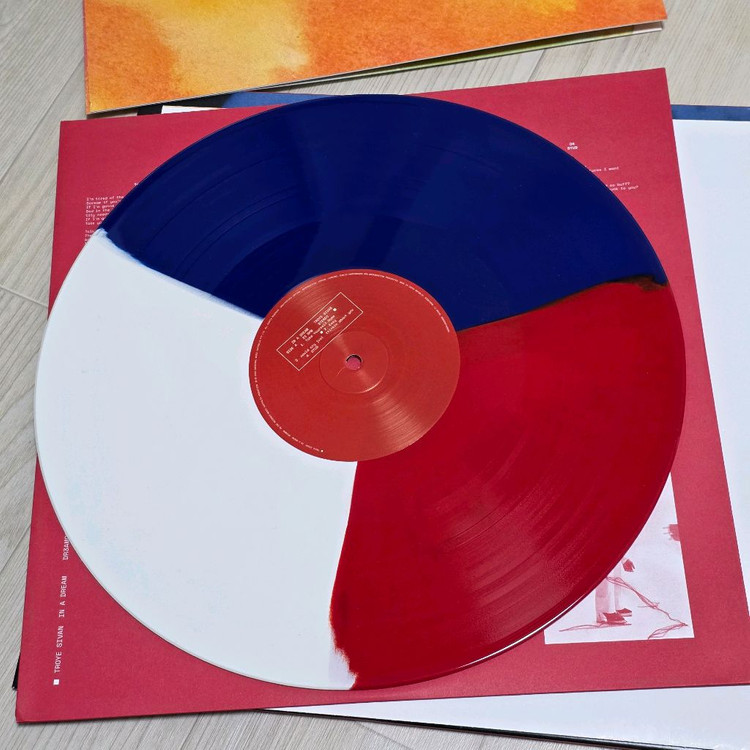 트로이시반 Troye Sivan - in a dream 삼색 컬러 LP--1