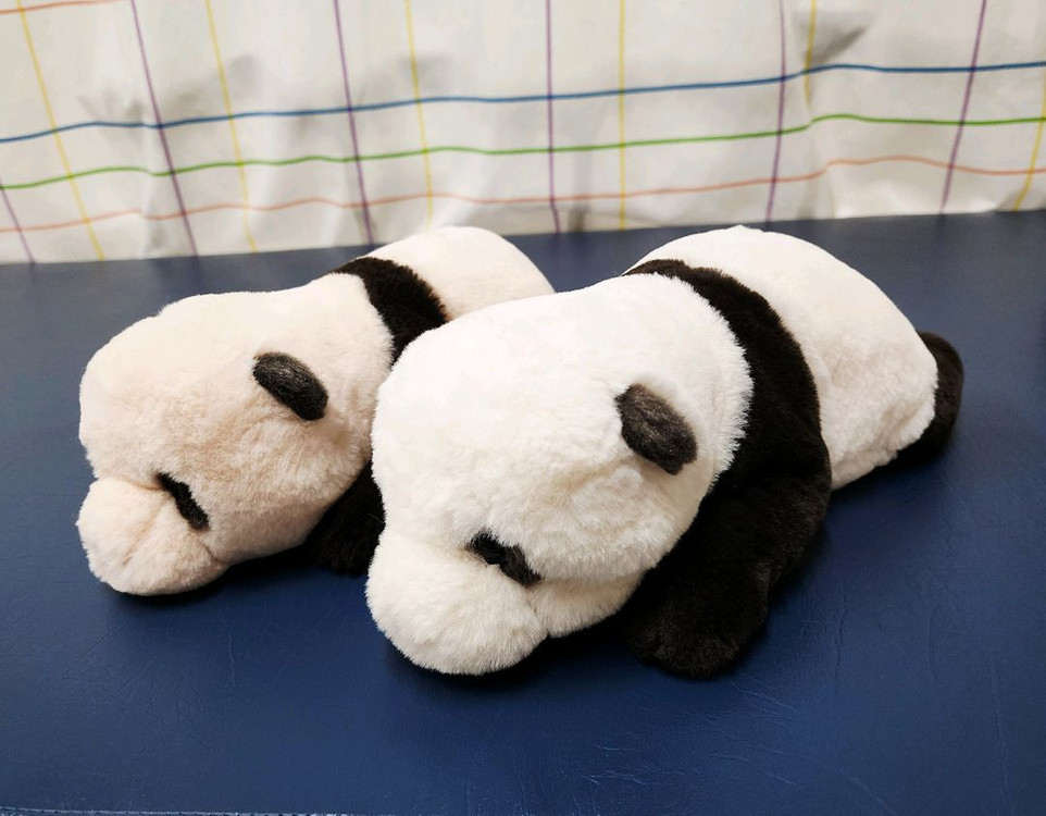 에버랜드 정품 루이바오 후이바오 50일 인형--1