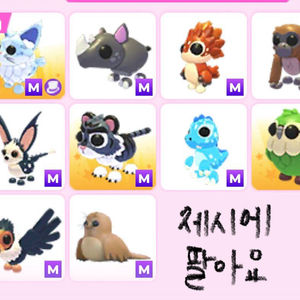 입양하세요 메가네온 펫 팔아요 이미지