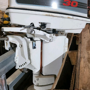 존슨30마력 선외기 이미지