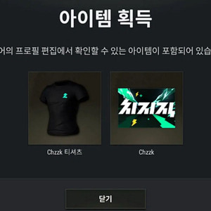 배그 치지직 네임플레이트 셔츠 스킨코드 삽니다 이미지