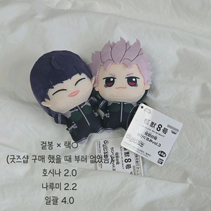 괴수8호 호시나 나루미 누이 이미지