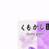 구함)) 쿠모카시바 ㅈㄷ 이미지