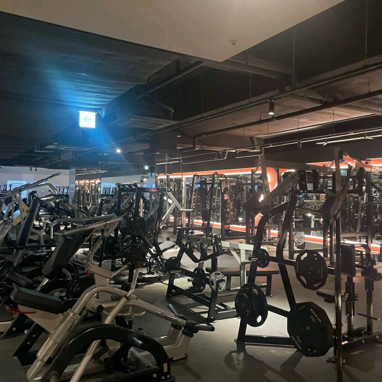 보정동 런던피트니스 헬스장 회원권 양도합니다. 이미지