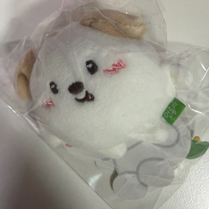 라이즈 리라즈 미니 인형 키링 앤톤 멍룡이 판매 이미지