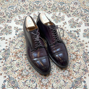 9-9.5D] 알든 아나토미카 8컬러코도반 56259 이미지