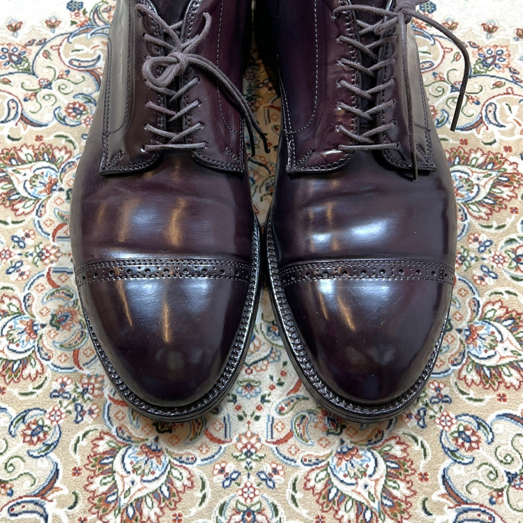 9-9.5D] 알든 아나토미카 8컬러코도반 56259 이미지