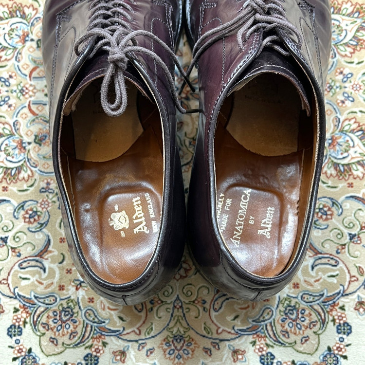 9-9.5D] 알든 아나토미카 8컬러코도반 56259 이미지