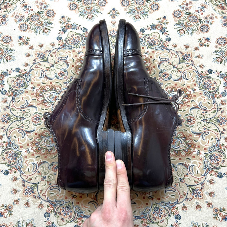 9-9.5D] 알든 아나토미카 8컬러코도반 56259 이미지