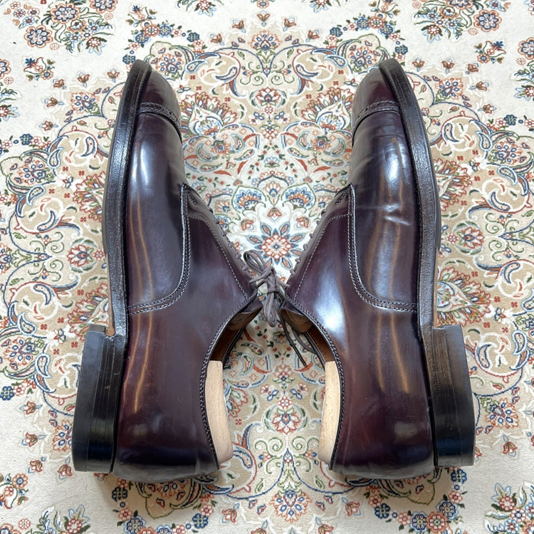 9-9.5D] 알든 아나토미카 8컬러코도반 56259 이미지