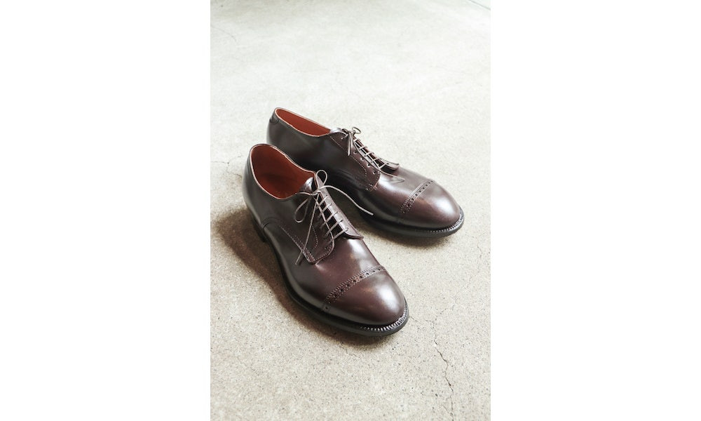 9-9.5D] 알든 아나토미카 8컬러코도반 56259 이미지