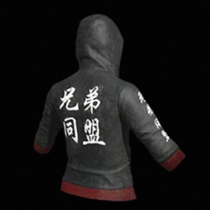 배그 스킨 형제동맹 상의 코드 이미지