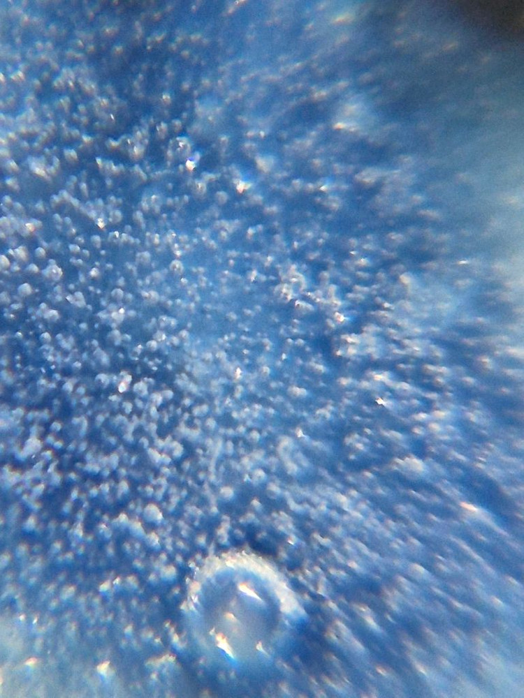 중국도자기 청화 백자 봉황 전지 화훼문 호로병 호리병 이미지