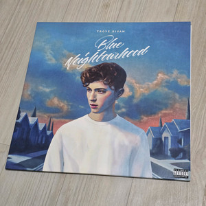 트로이시반 Troye Sivan - Blue Neighbourhood 한정판 핑크 컬러 LP