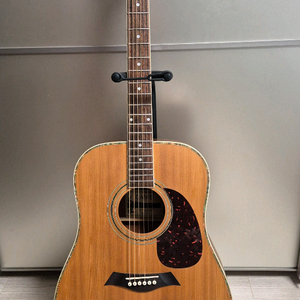 데임 릴리즈 70 어쿠스틱 기타