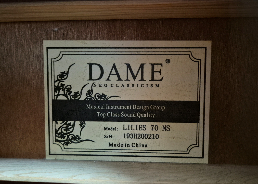 데임 릴리즈 70 어쿠스틱 기타--3