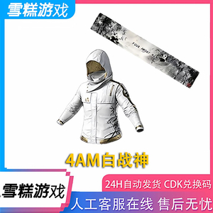 배그 4am 스킨 코드 이미지