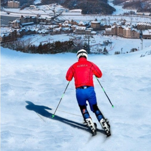 용평리조트 숙박 8만부터~~ 당일가능 타워콘도 빌라 그린피아